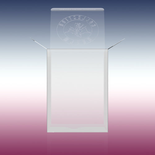 10-Pack Crystal Clear Vinyl Figure Protectors Compatible with 4-Inch Collectibles – Heavy-Duty Display Cases with 0.5mm Thickness for Water, Dust & UV Protection